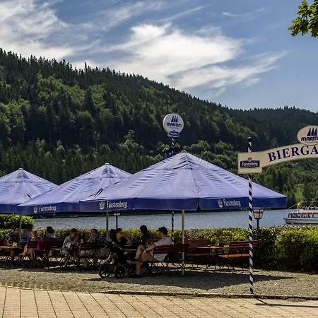 Maritim 4* Titisee-Neustadt